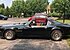 1979 Pontiac Firebird for sale 101024084